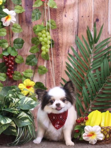 20230825リアンくん